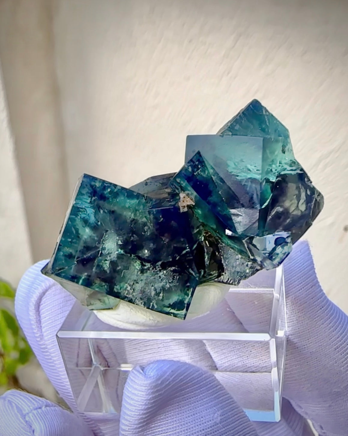 Fluorite - Hidden Forest Pocket, Lady Annabella Mine UK