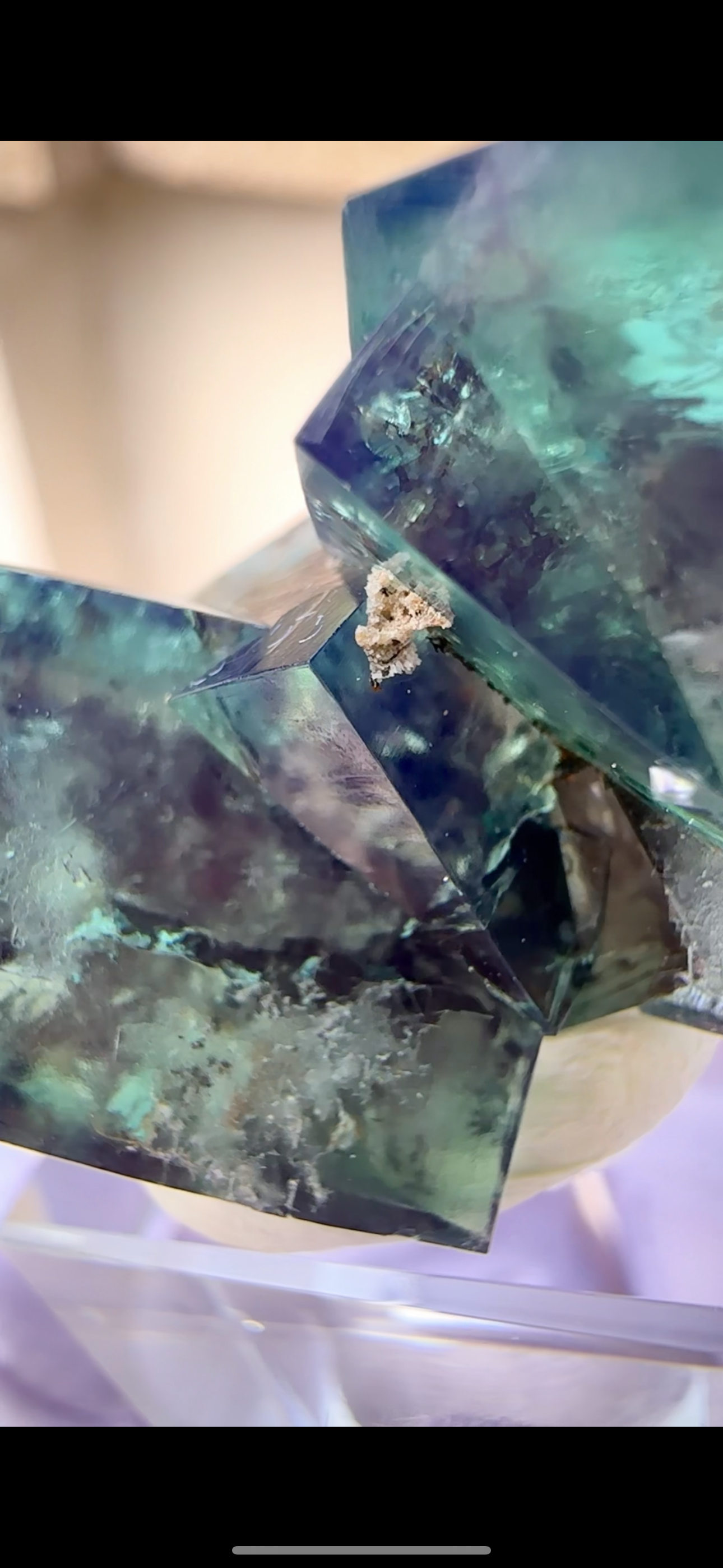 Fluorite - Hidden Forest Pocket, Lady Annabella Mine UK